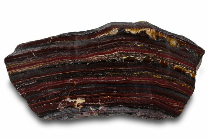 Polished Tiger Iron Stromatolite Slab - Billion Years #319490